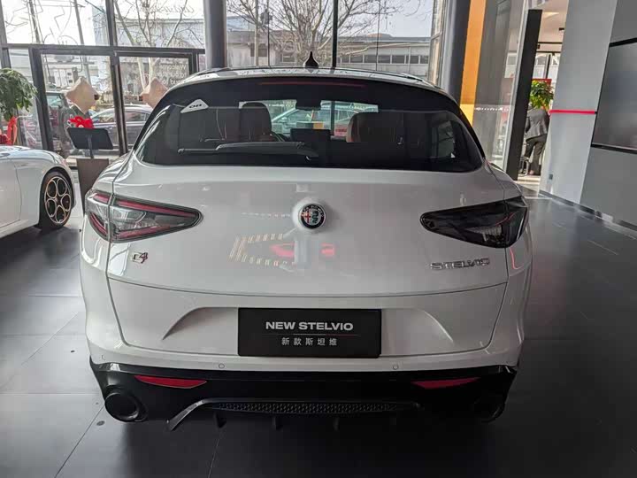 Alfa Romeo Stelvio, 2024 — фото 8 из 9