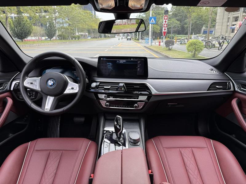 BMW 5 Series Hybrid, 2022 — фото 10 из 12