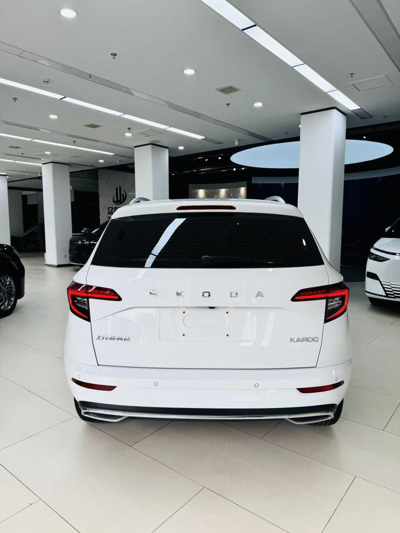 Skoda Karoq, 2023 — фото 5 из 12