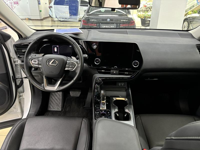Lexus NX, 2023 — фото 11 из 12