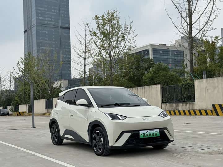 BYD Seagull, 2024 — фото 8 из 9