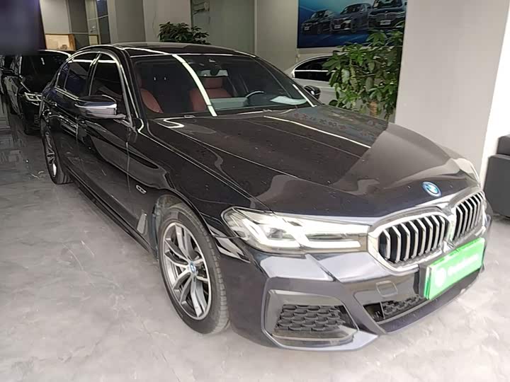 BMW 5 Series Hybrid, 2022 — фото 4 из 9
