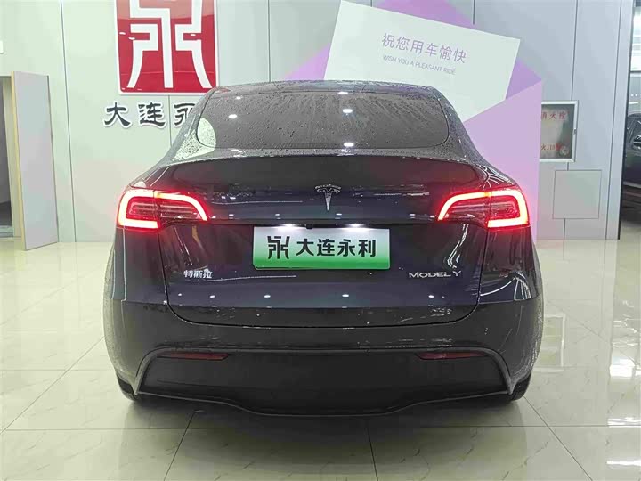 Tesla Model Y, 2024 — фото 5 из 9