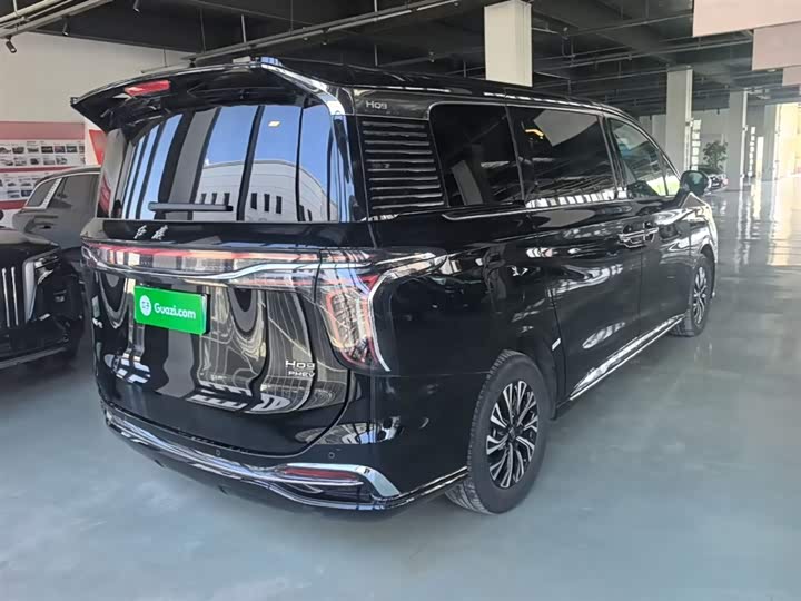 Hongqi HQ9 Hybrid, 2024 — фото 7 из 9