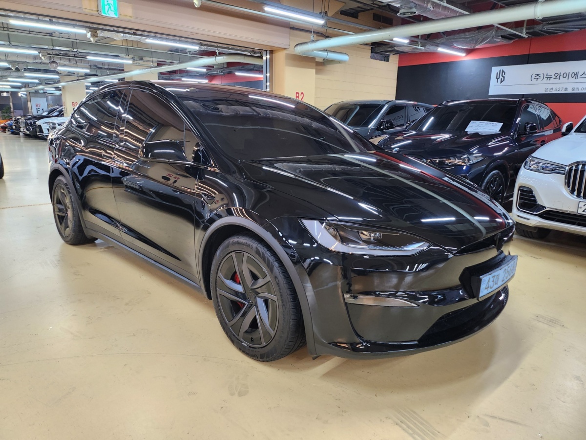 Tesla Model X, 2025 — фото 2 из 12