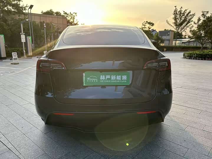 Tesla Model Y, 2024 — фото 8 из 9