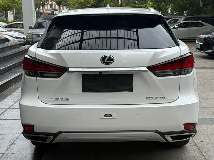 Lexus RX, 2024 — фото 8 из 9