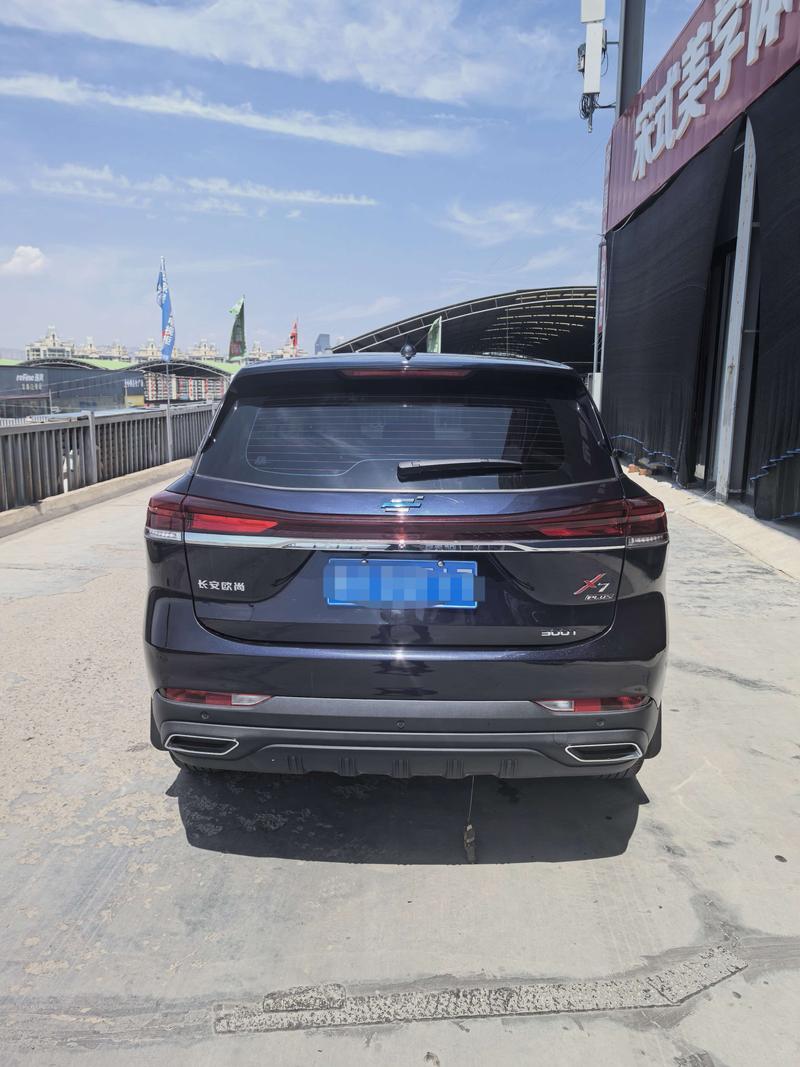 Changan Oshan X7 Plus, 2023 — фото 5 из 9