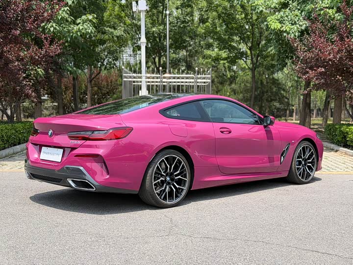 BMW 8 Series, 2025 — фото 4 из 9