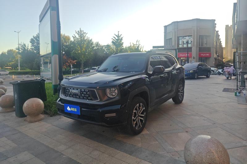 Haval H-Dog, 2023 — купить в Рязани под ключ