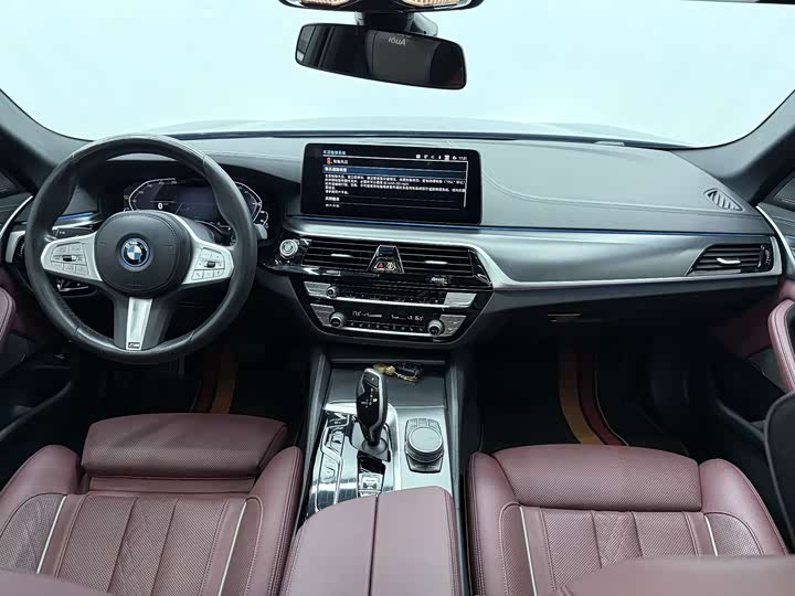 BMW 5 Series Hybrid, 2023 — фото 9 из 9