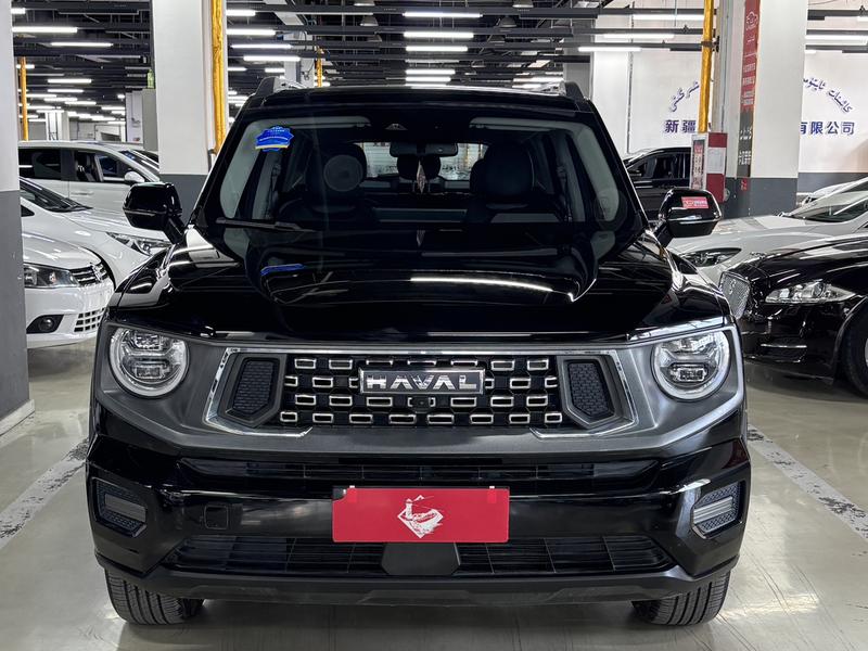Haval H-Dog, 2023 — фото 2 из 12