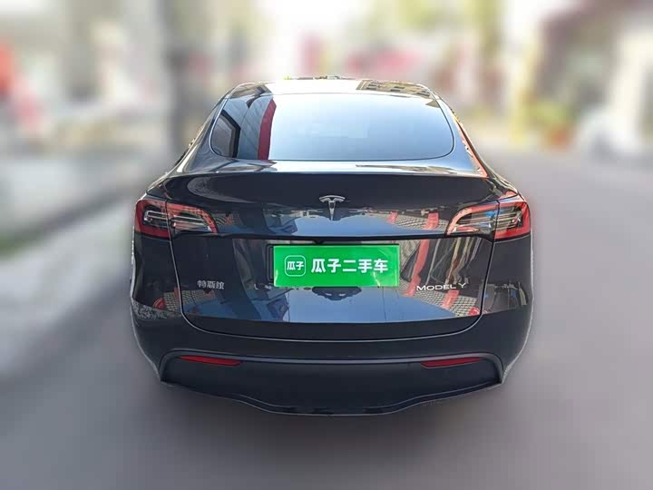 Tesla Model Y, 2024 — фото 5 из 9