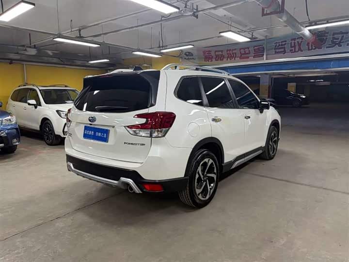 Subaru Forester, 2023 — фото 8 из 9