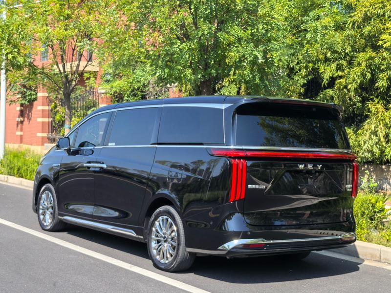 Wey 80 Hybrid, 2025 — фото 4 из 11