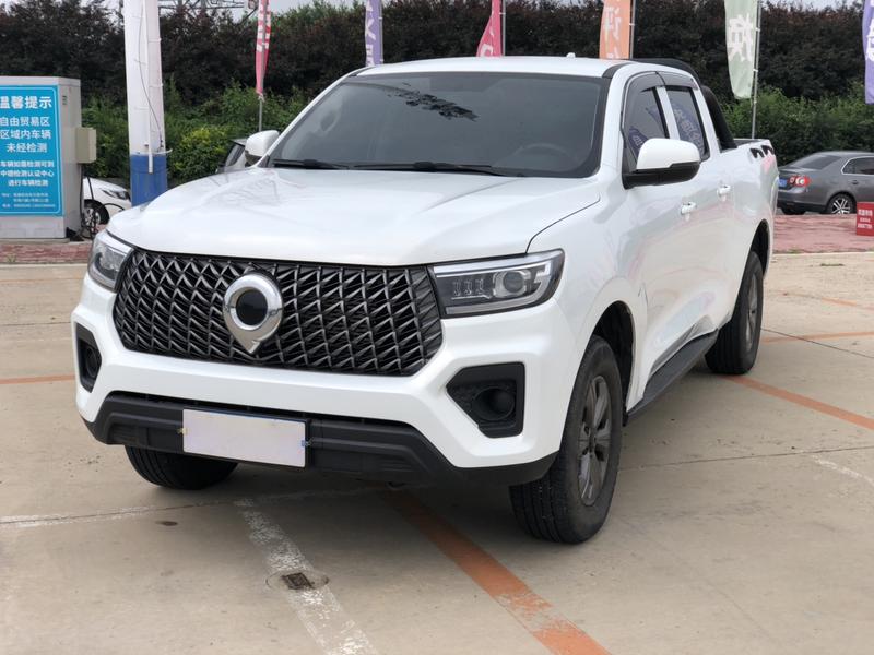 Great Wall Pao, 2023 — купить в Иванове под ключ