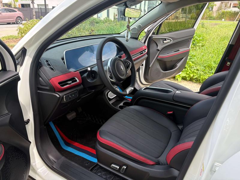 Ora Good Cat GT (03 GT), 2023 — фото 9 из 12