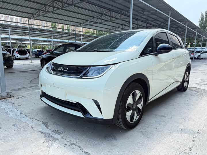 BYD Dolphin, 2025 — купить в Казани под ключ