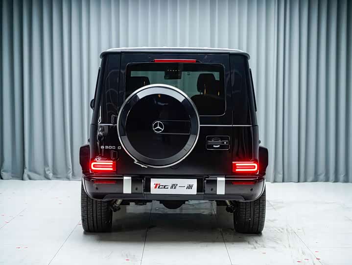 Mercedes-Benz G-Class, 2022 — фото 9 из 9