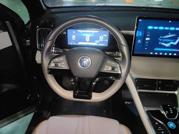BYD Song Pro Hybrid, 2025 — фото 6 из 9