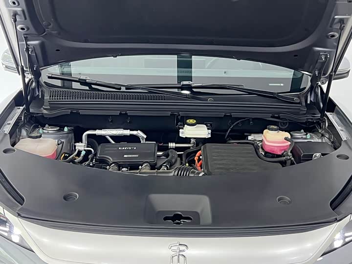 BYD Song Pro Hybrid, 2024 — фото 4 из 9