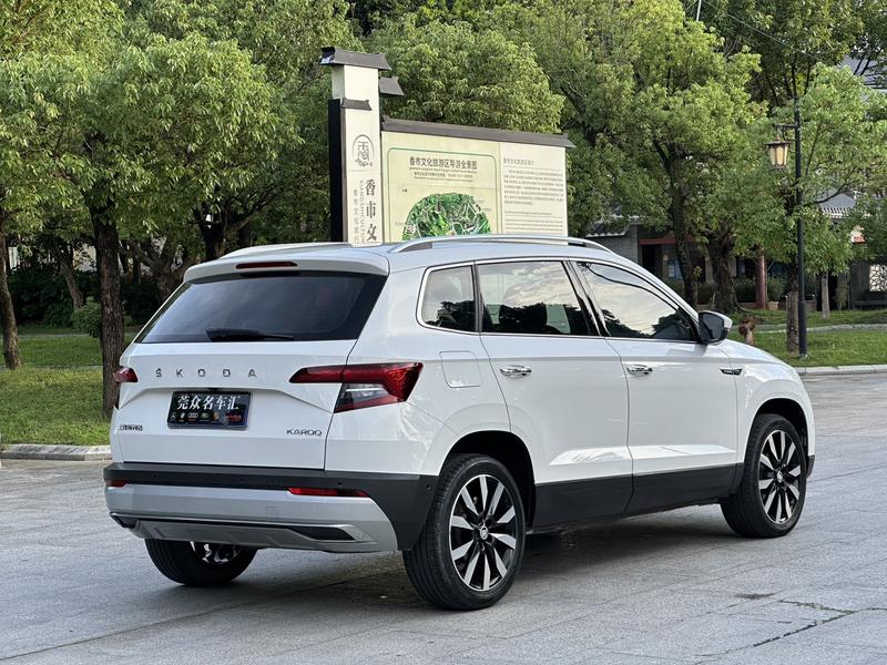 Skoda Karoq, 2021 — фото 6 из 12