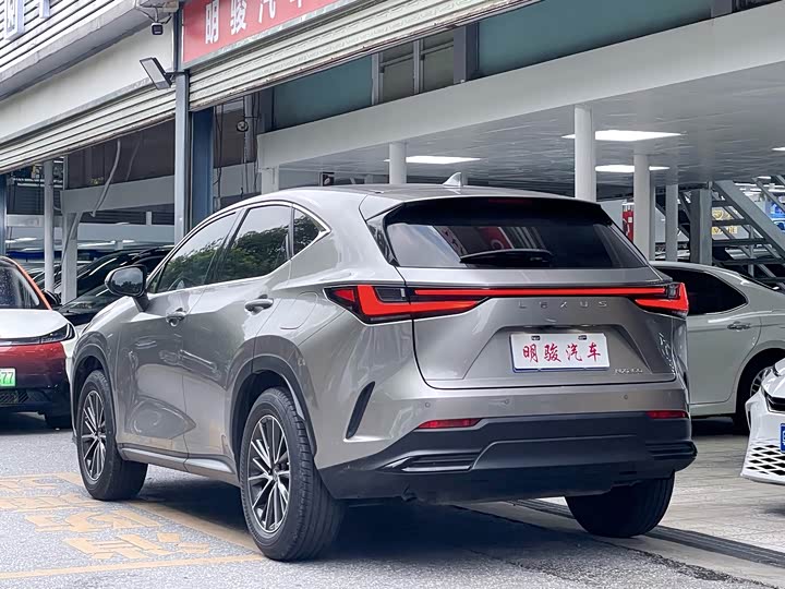 Lexus NX, 2021 — фото 4 из 9