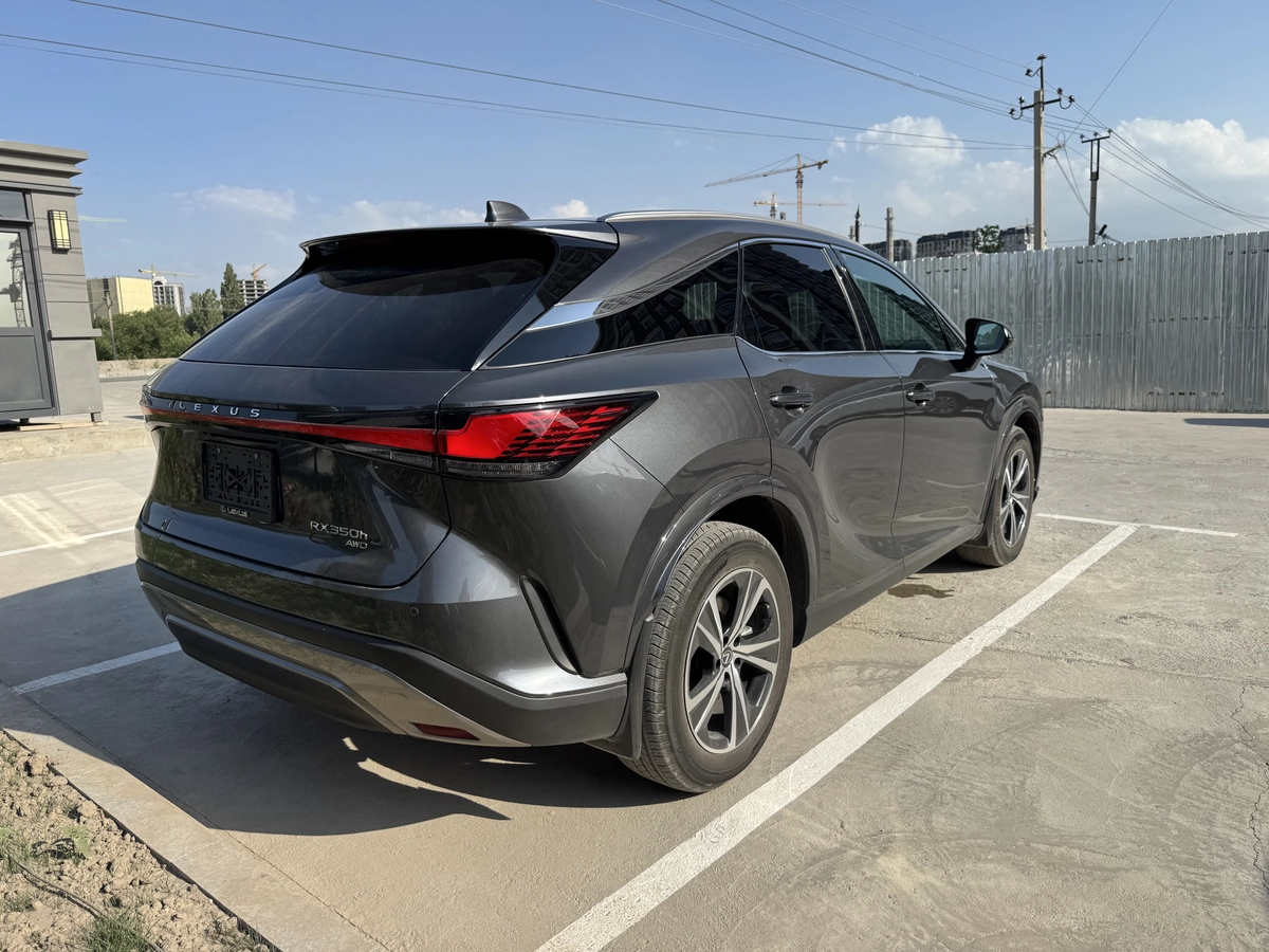Lexus RX, 2024 — фото 3 из 6