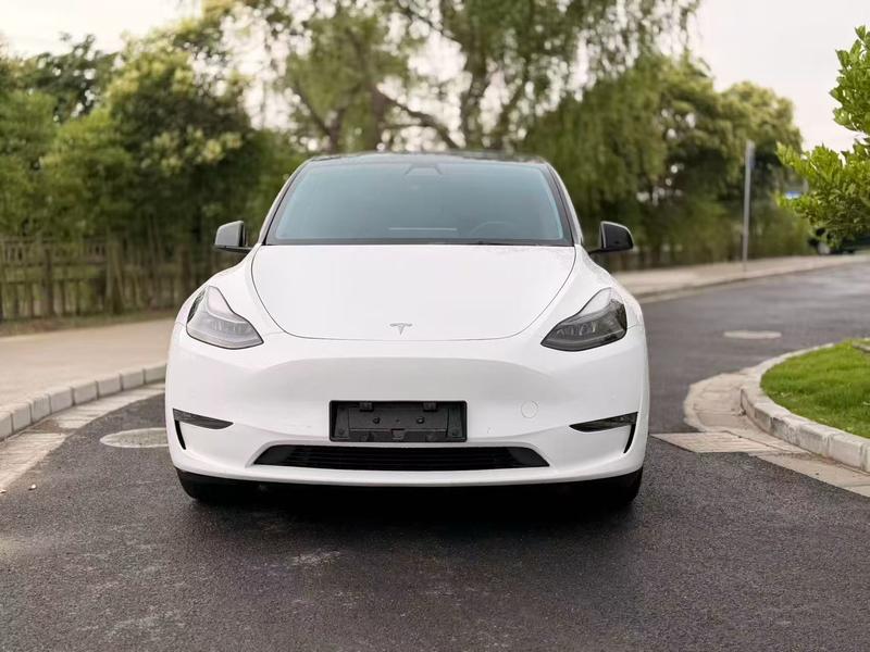 Tesla Model Y, 2021 — фото 2 из 9