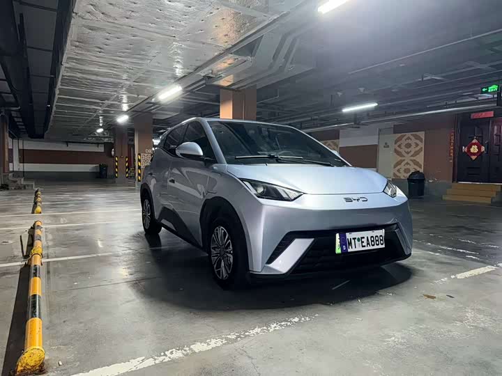 BYD Seagull, 2024 — купить в Смоленске под ключ