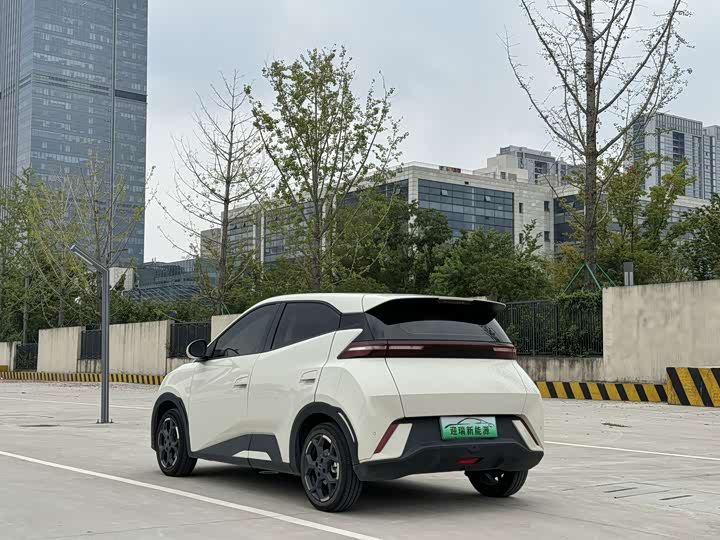 BYD Seagull, 2024 — фото 5 из 9