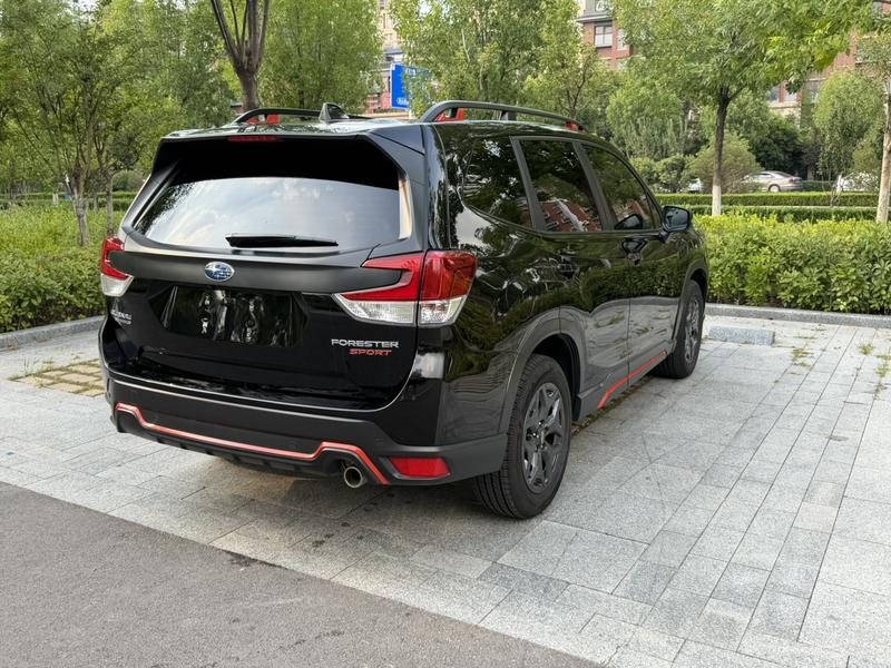 Subaru Forester, 2022 — фото 6 из 12