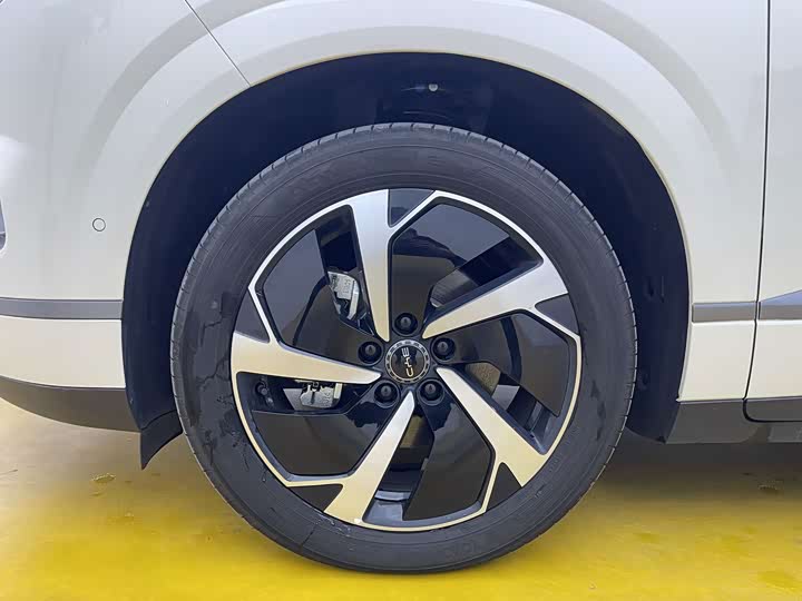 BYD Sea Lion 06 Hybrid/EV, 2025 — фото 9 из 9