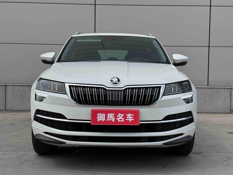 Skoda Karoq, 2024 — фото 2 из 11