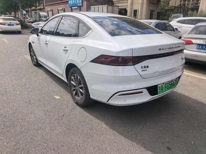 BYD Qin Plus, 2024 — фото 3 из 10