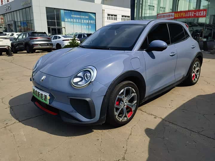 Ora Good Cat GT (03 GT), 2022 — купить в Самаре под ключ