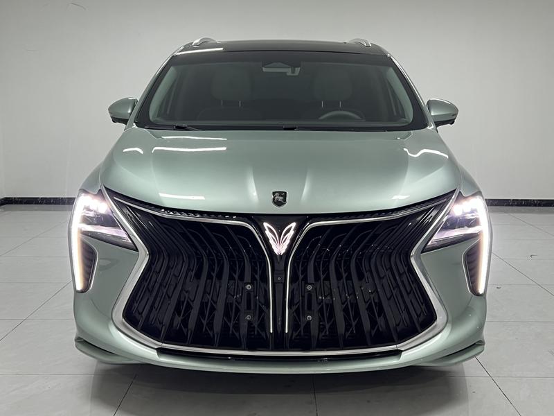 Dongfeng Forthing Yacht, 2023 — фото 2 из 12