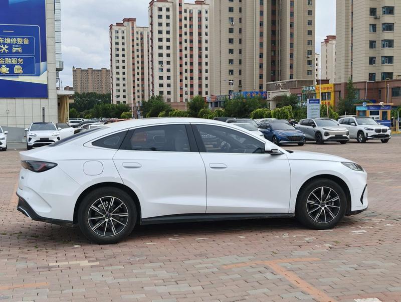BYD Seal 06 Hybrid/EV, 2024 — фото 7 из 10