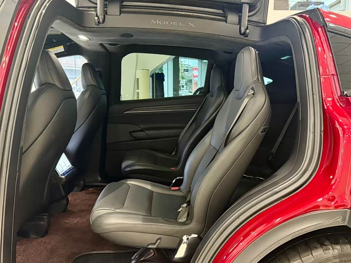 Tesla Model X, 2023 — фото 6 из 9