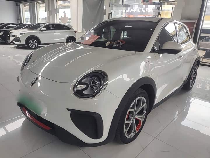 Ora Good Cat GT (03 GT), 2024 — купить в Рязани под ключ