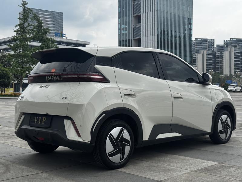 BYD Seagull, 2024 — фото 6 из 10