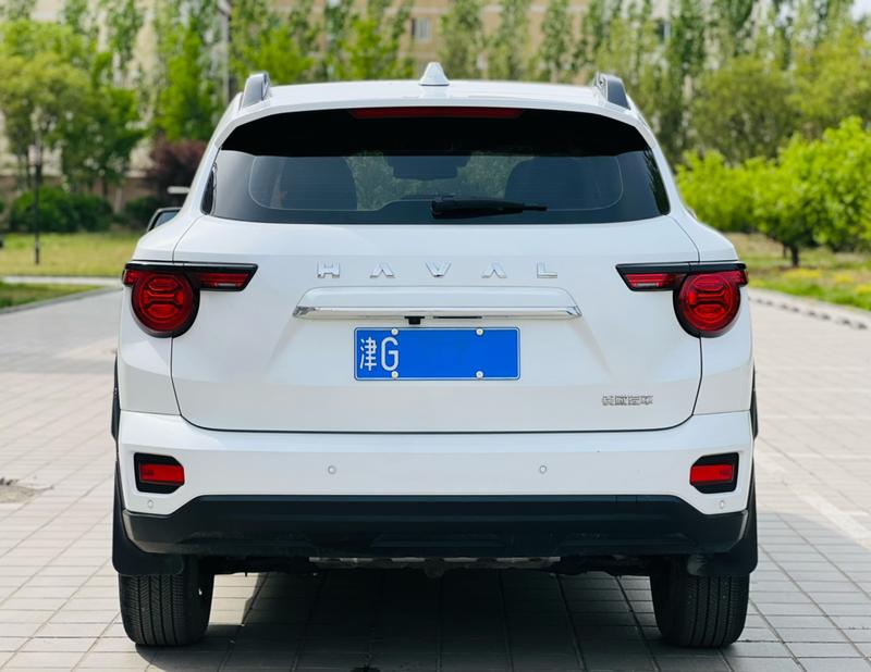 Haval H-Dog, 2024 — фото 5 из 12