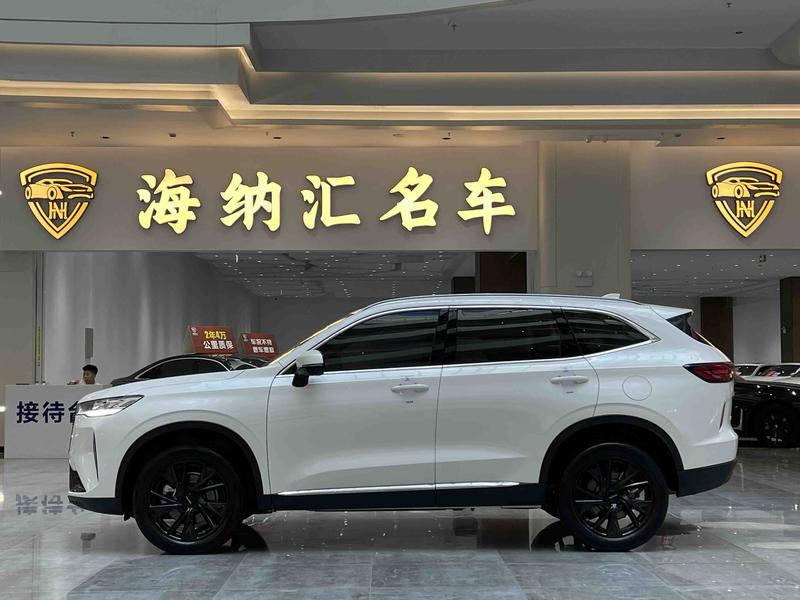 Haval H6, 2021 — фото 3 из 12
