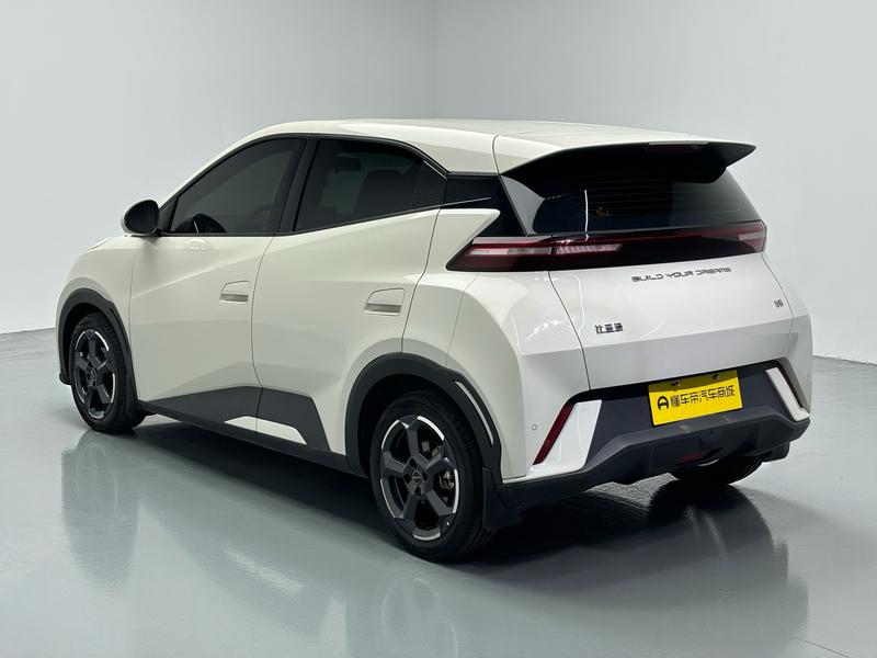 BYD Seagull, 2023 — фото 5 из 12