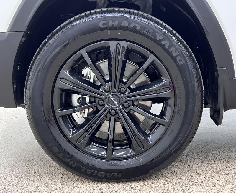Haval Raptor Hybrid, 2025 — фото 10 из 12