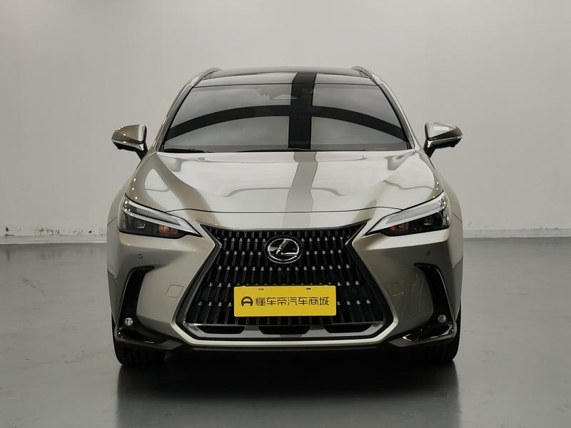 Lexus NX, 2021 — фото 2 из 12