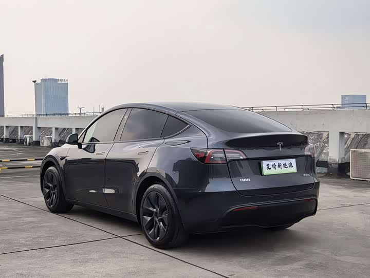 Tesla Model Y, 2024 — фото 7 из 9