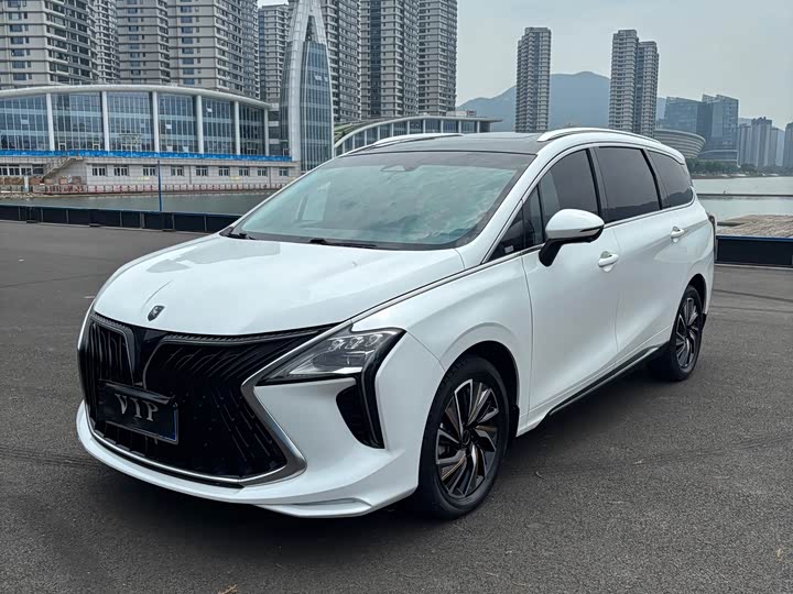 Dongfeng Forthing Yacht, 2023 — фото 2 из 9