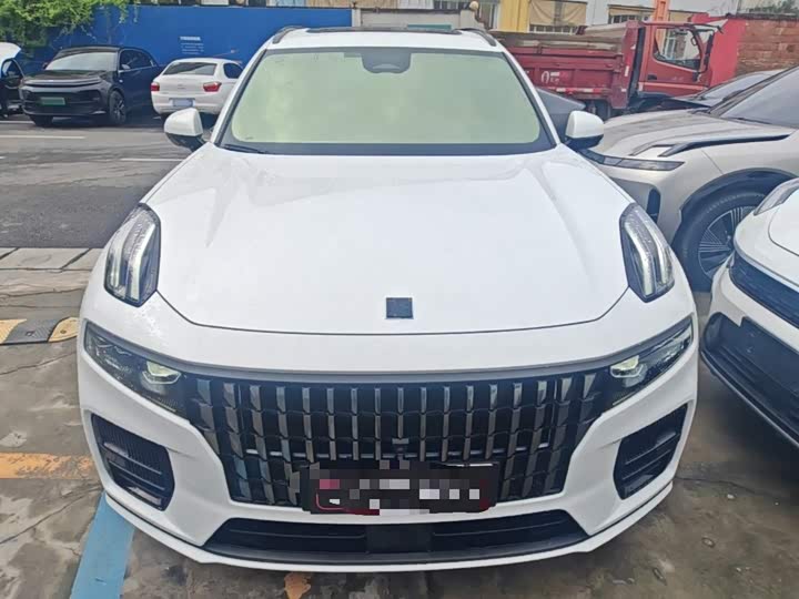 Lynk & Co 09 EM-P Hybrid, 2022 — фото 3 из 9