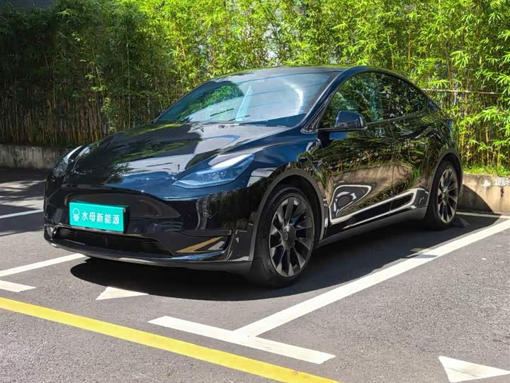 Tesla Model Y, 2022 — купить в Тамбове под ключ